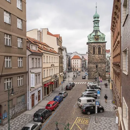 4 Trees By Adrez Lejlighed